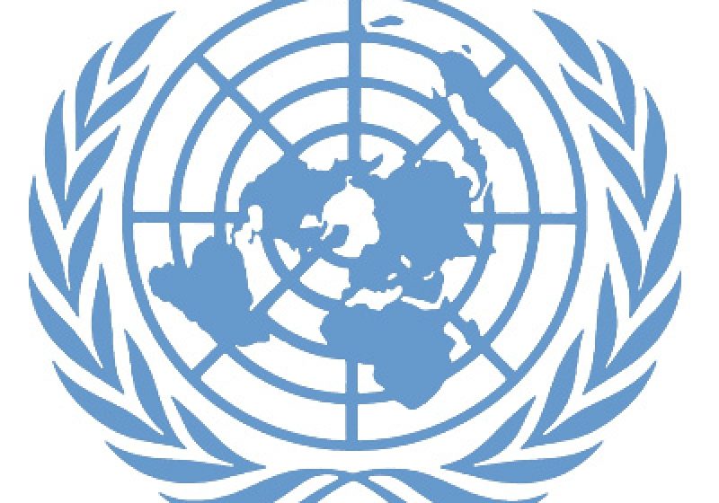 Consiliul Drepturilor Omului din cadrul ONU votează vineri rezoluţia iniţiată de România privind democraţia