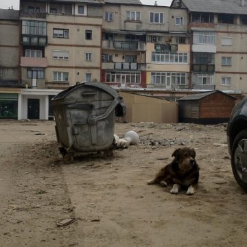 A debutat curăţenia de primăvara