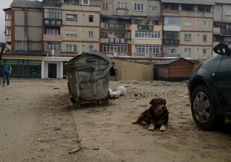 A debutat curăţenia de primăvara