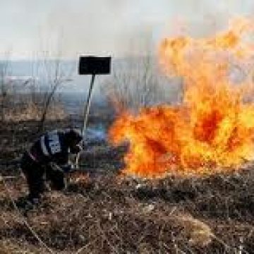 Dosar de distrugere prin incendiere pentru un foc lăsat nesupravegheat Dosar de distrugere prin incendiere pentru un foc lăsat nesupravegheat