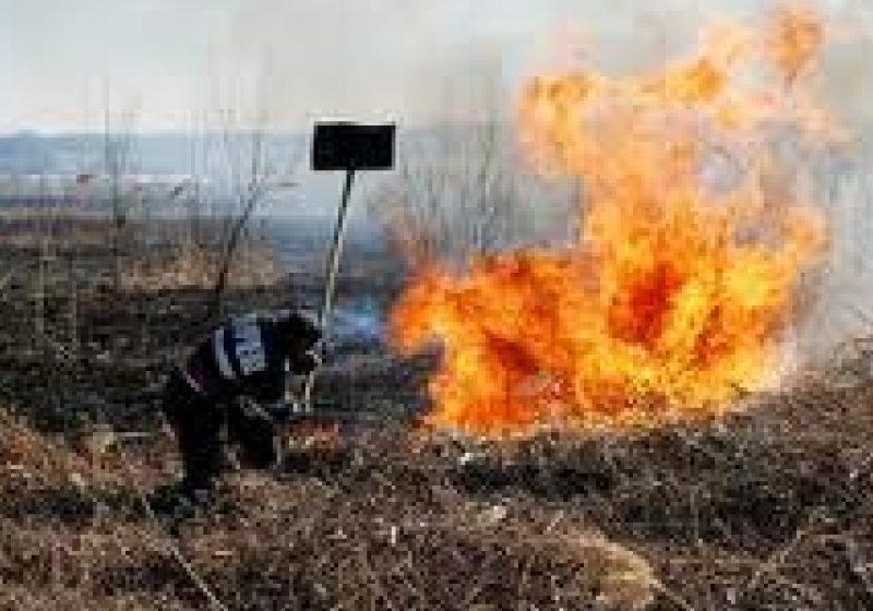 Dosar de distrugere prin incendiere pentru un foc lăsat nesupravegheat Dosar de distrugere prin incendiere pentru un foc lăsat nesupravegheat