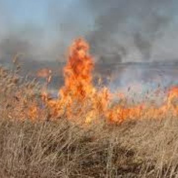 Dosar de distrugere prin incendiere pentru un foc lăsat nesupravegheat Dosar de distrugere prin incendiere pentru un foc lăsat nesupravegheat