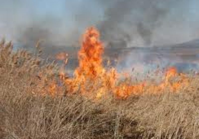 Dosar de distrugere prin incendiere pentru un foc lăsat nesupravegheat Dosar de distrugere prin incendiere pentru un foc lăsat nesupravegheat