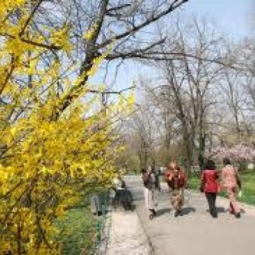 Duminică de primăvară, cu temperaturi maxime de 25 de grade. Prognoza meteo pe regiuni Duminică de primăvară, cu temperaturi maxime de 25 de grade. Prognoza meteo pe regiuni