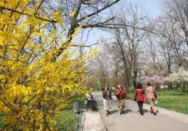 Duminică de primăvară, cu temperaturi maxime de 25 de grade. Prognoza meteo pe regiuni