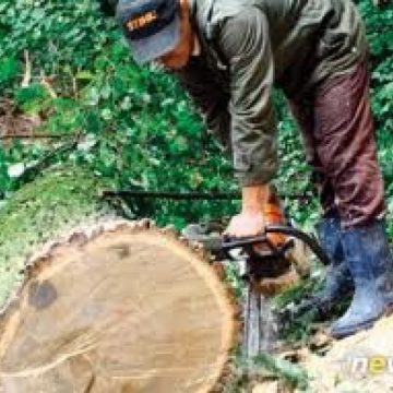 Baia Mare: Garda de Mediu Maramureş a acordat în 2011 amenzi de peste 11 miliarde lei vechi. Trei societăţi, una din Moisei, au fost sesizate penal Baia Mare: Garda de Mediu Maramureş a acordat în 2011 amenzi de peste 11 miliarde lei vechi. Trei societăţi, una din Moisei, au fost sesizate penal