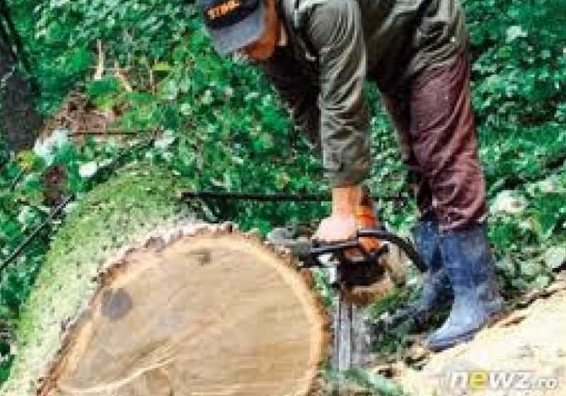 Baia Mare: Garda de Mediu Maramureş a acordat în 2011 amenzi de peste 11 miliarde lei vechi. Trei societăţi, una din Moisei, au fost sesizate penal Baia Mare: Garda de Mediu Maramureş a acordat în 2011 amenzi de peste 11 miliarde lei vechi. Trei societăţi, una din Moisei, au fost sesizate penal