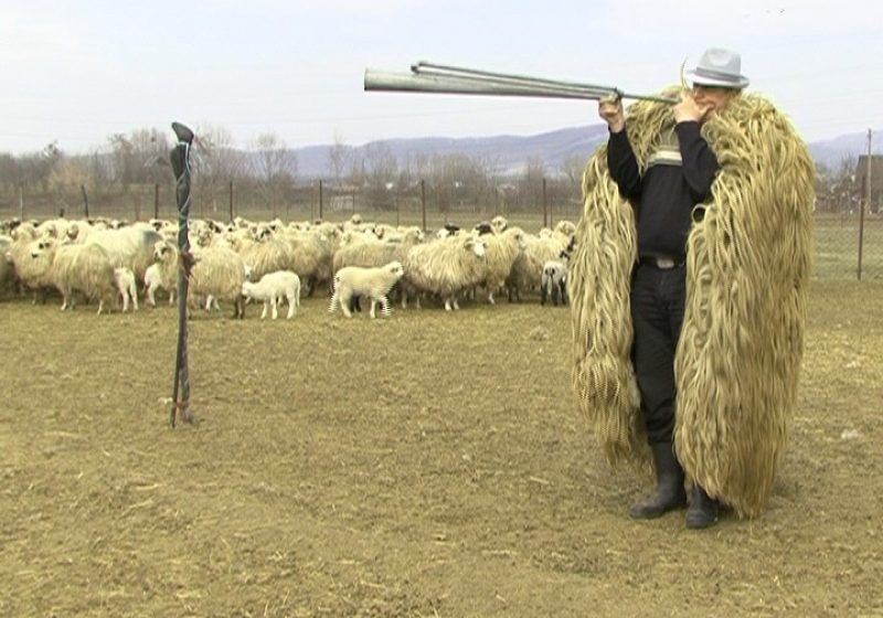Gazdele de stână îşi aşteaptă clienţii la mieii de Paşte