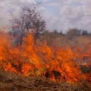 Incendii de vegetaţie în tot Maramureşul Incendii de vegetaţie în tot Maramureşul