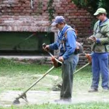 SIGHET: Lucrătorii de la Spaţii Verzi nu-şi văd capul de treabă