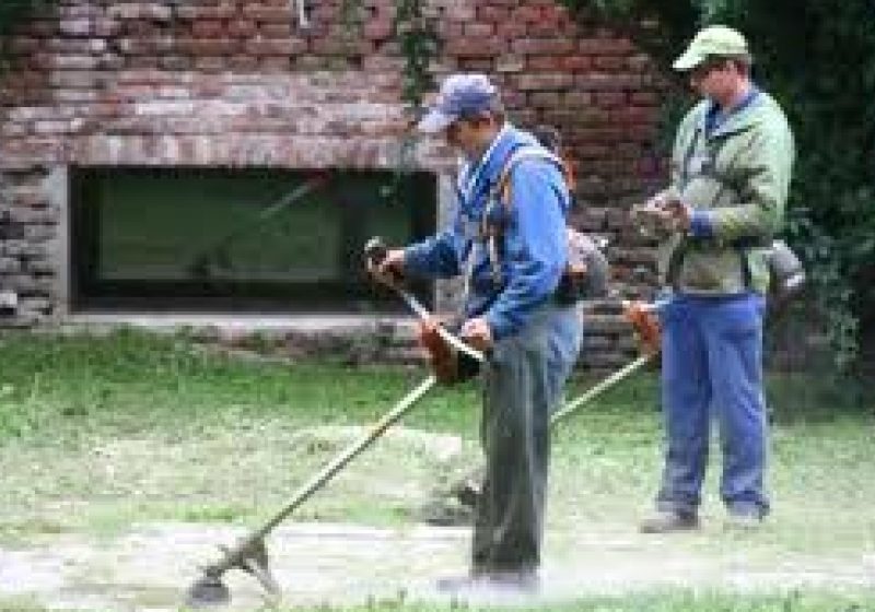 SIGHET: Lucrătorii de la Spaţii Verzi nu-şi văd capul de treabă