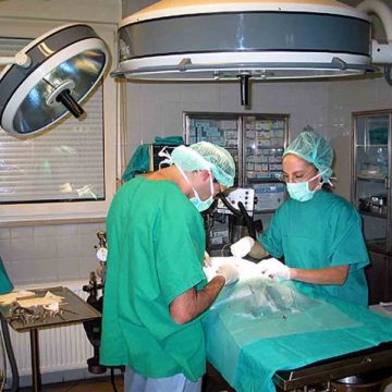 Medicii maramureşeni pleacă la muncă în occident