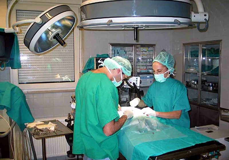 Medicii maramureşeni pleacă la muncă în occident Medicii maramureşeni pleacă la muncă în occident