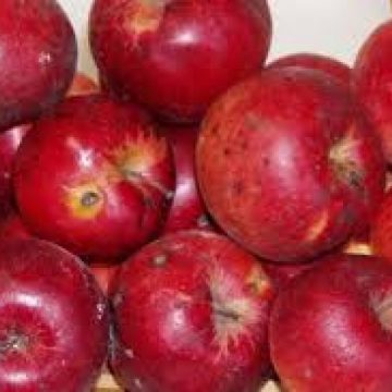 România primeşte circa zece milioane de euro de la UE pentru distribuirea de fructe în şcoli