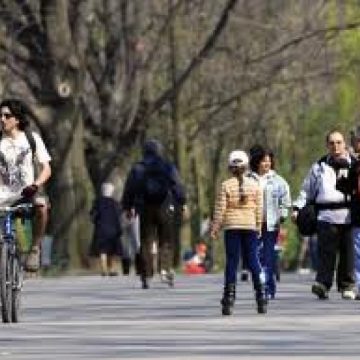 Meteorologii anunţă vreme caldă în Maramureş Meteorologii anunţă vreme caldă în Maramureş