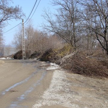Lângă Muzeul Satului, în apropierea Morilor de apă sunt depozitate mormane de crengi rezultate din curăţirea pomilor Lângă Muzeul Satului, în apropierea Morilor de apă sunt depozitate mormane de crengi rezultate din curăţirea pomilor