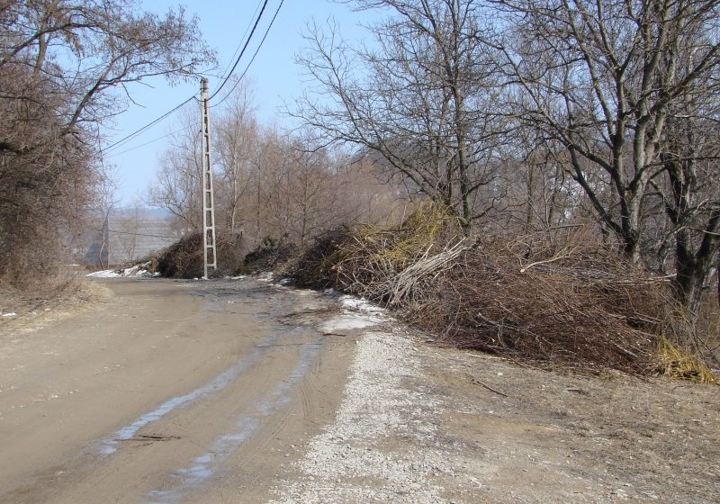 Lângă Muzeul Satului, în apropierea Morilor de apă sunt depozitate mormane de crengi rezultate din curăţirea pomilor