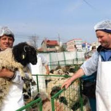 Ministrul Agriculturii spune că nu sunt motive pentru scumpirea cărnii de miel Ministrul Agriculturii spune că nu sunt motive pentru scumpirea cărnii de miel