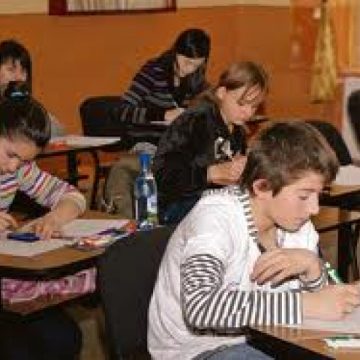 Cinci elevi din Maramureş, calificaţi la faza naţională a olimpiadei de biologie