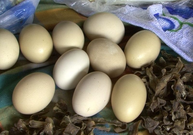 SIGHET: De unde cumpărăm ouăle, de la market sau de la piaţă? SIGHET: De unde cumpărăm ouăle, de la market sau de la piaţă?