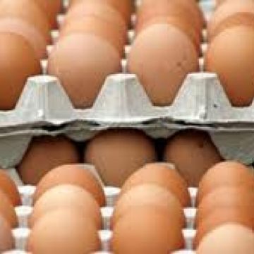 Ministerul Agriculturii: Majorarea preţurilor ouălor nu a fost determinată de lipsa producţiei Ministerul Agriculturii: Majorarea preţurilor ouălor nu a fost determinată de lipsa producţiei
