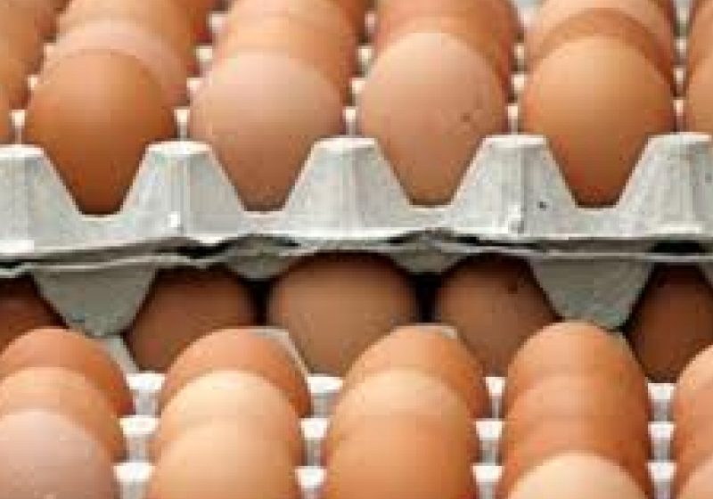 Ministerul Agriculturii: Majorarea preţurilor ouălor nu a fost determinată de lipsa producţiei