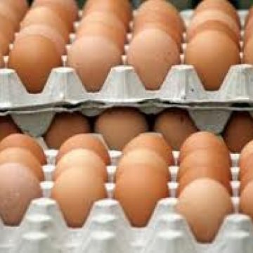 Ouăle s-au scumpit cel mai mult în februarie 2012
