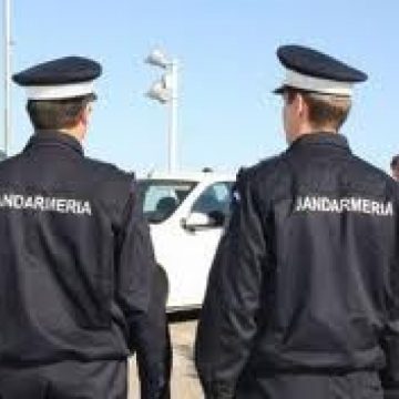 Baia Mare: Scandalagiu potolit de jandarmi Baia Mare: Scandalagiu potolit de jandarmi