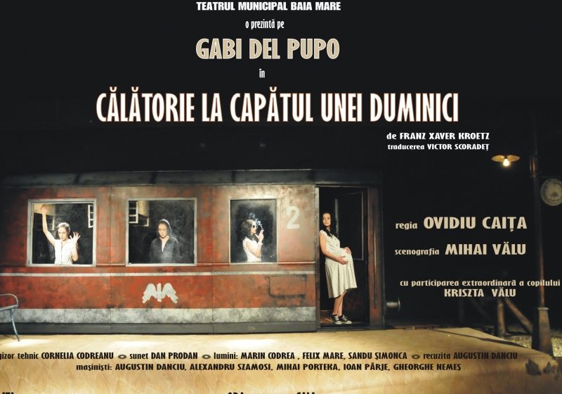 Baia Mare: Vezi programul spectacolelor la teatrul băimărean, în luna martie