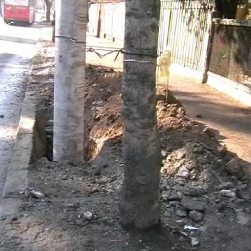 Baia Mare: Doi poliţişti de la Ordine Publică au intrat cu un Rover într-un stâlp din faţa Inspectoratului de Poliţie al judeţului Maramureş Baia Mare: Doi poliţişti de la Ordine Publică au intrat cu un Rover într-un stâlp din faţa Inspectoratului de Poliţie al judeţului Maramureş
