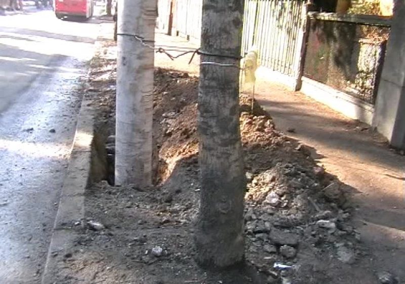 Baia Mare: Doi poliţişti de la Ordine Publică au intrat cu un Rover într-un stâlp din faţa Inspectoratului de Poliţie al judeţului Maramureş Baia Mare: Doi poliţişti de la Ordine Publică au intrat cu un Rover într-un stâlp din faţa Inspectoratului de Poliţie al judeţului Maramureş