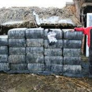 Ţigări de contrabandă ascunse într-o stână