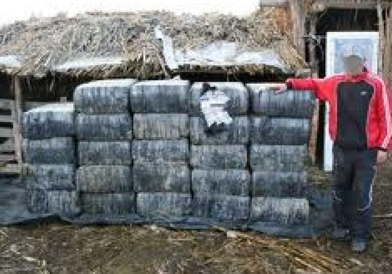 Ţigări de contrabandă ascunse într-o stână Ţigări de contrabandă ascunse într-o stână