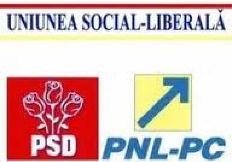 Baia Mare: U.S.L. Maramureş îşi va anunţa candidaţii pentru alegerile din iunie abia săptămâna viitoare