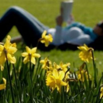 Pentru câteva zile se încălzeşte vremea, de luni lapoviţă şi ninsoare