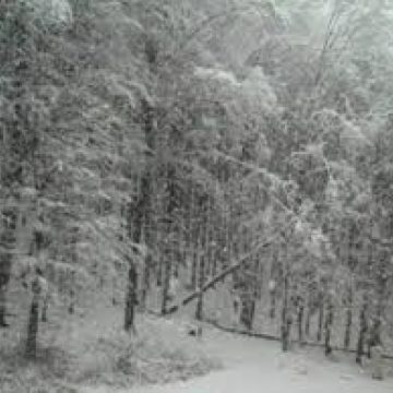 Meteorologii anunţă că vremea va fi relativ rece în Maramureş