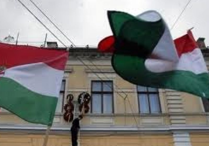SIGHET: Ziua maghiarilor de pretutindeni sărbătorită la Sighet