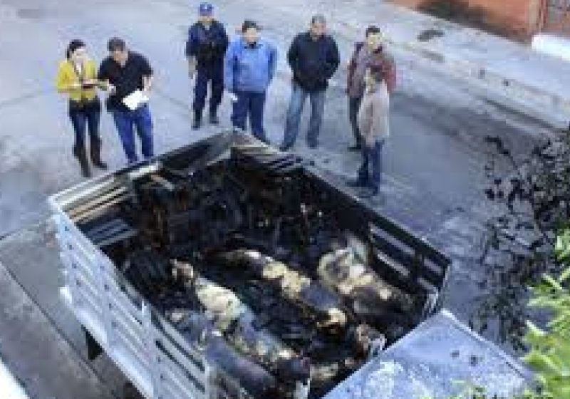 14 cadavre găsite într-o camionetă în Mexic