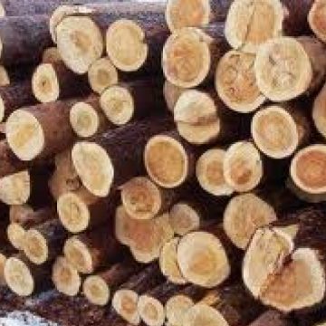 Un transport ilegal de 17 mc de lemn a fost depistat de către poliţişti în urma unei acţiuni derulate la Borşa