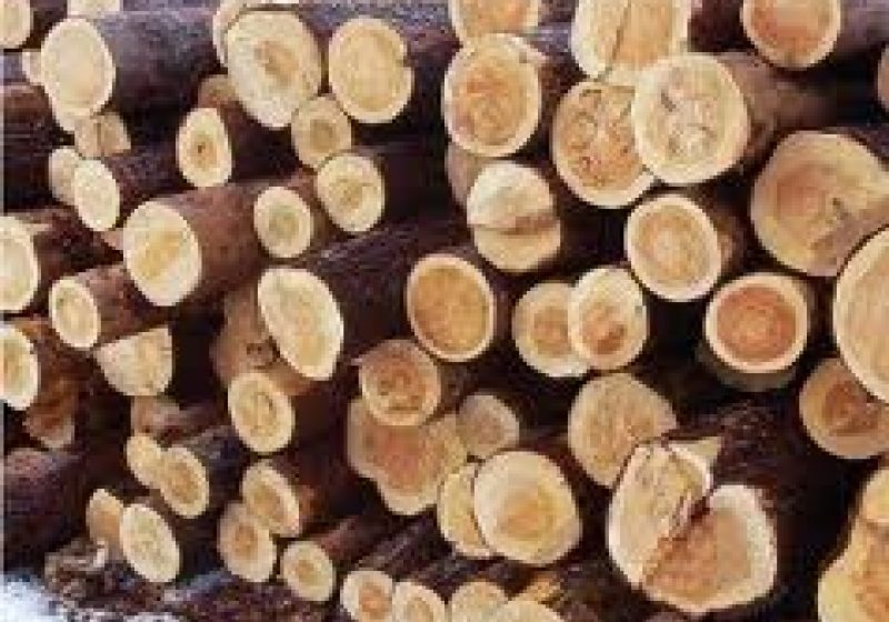 Un transport ilegal de 17 mc de lemn a fost depistat de către poliţişti în urma unei acţiuni derulate la Borşa Un transport ilegal de 17 mc de lemn a fost depistat de către poliţişti în urma unei acţiuni derulate la Borşa