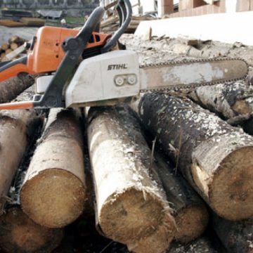 Acţiune de prevenire a delictelor silvice executată de către poliţişti şi jandarmi în zona oraşului Borşa