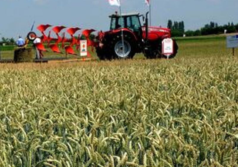 Fonduri de peste 220 de milioane de euro sunt disponibile pentru modernizarea exploataţiilor agricole Fonduri de peste 220 de milioane de euro sunt disponibile pentru modernizarea exploataţiilor agricole
