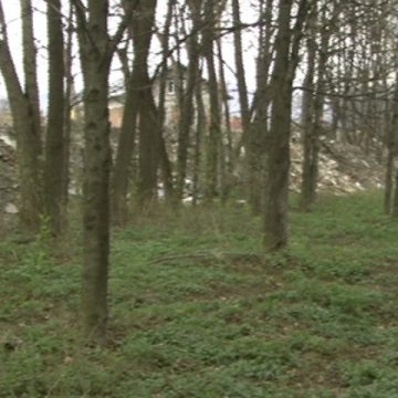 SIGHET: La doar câteva zile de la acţiunile de curăţare, Parcul dendrologic găzduieşte din nou gunoaie şi moloz SIGHET: La doar câteva zile de la acţiunile de curăţare, Parcul dendrologic găzduieşte din nou gunoaie şi moloz