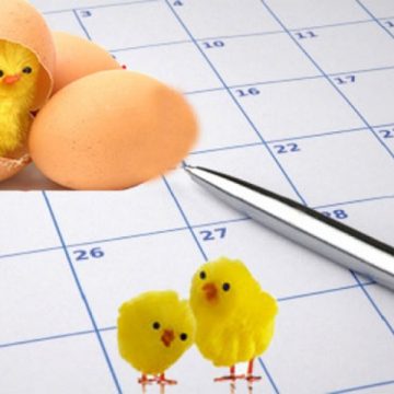 SIGHET: În perioada Sărbătorilor Pascale SC. Vital SA. v-a funcţiona după un program special