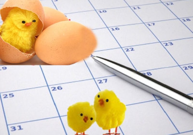 SIGHET: În perioada Sărbătorilor Pascale SC. Vital SA. v-a funcţiona după un program special SIGHET: În perioada Sărbătorilor Pascale SC. Vital SA. v-a funcţiona după un program special