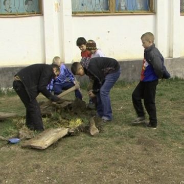 SIGHET: Elevii şcolii generale numărul 2 au plantat puieţi în curtea şcolii în cadrul proiectului "Şcoala altfel"