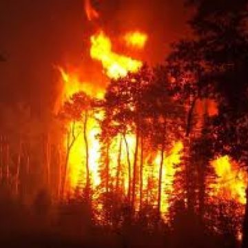 Seria incendiilor provocate de persoane iresponsabile continua