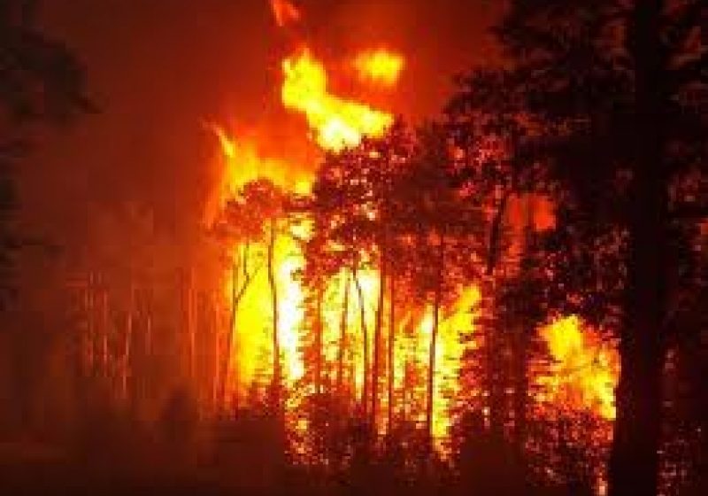 Seria incendiilor provocate de persoane iresponsabile continua