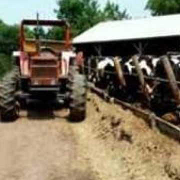 Se plătesc subvenţiile pe culturile agricole aferente anului 2011 Se plătesc subvenţiile pe culturile agricole aferente anului 2011