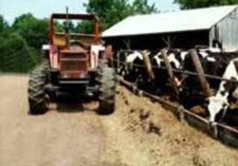 Se plătesc subvenţiile pe culturile agricole aferente anului 2011